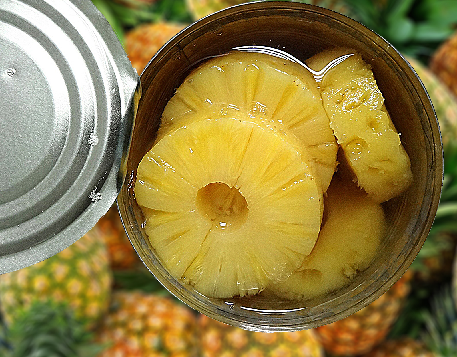 Canned Pineapple