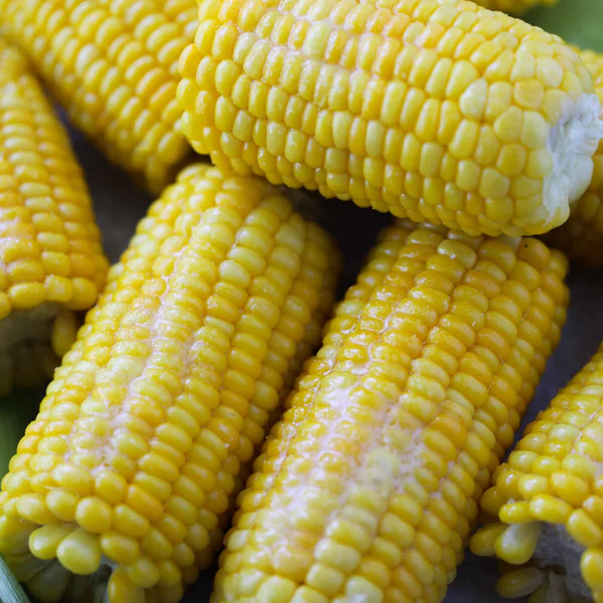 Frozen whole  Sweet  Corn on Cobs  both side cut