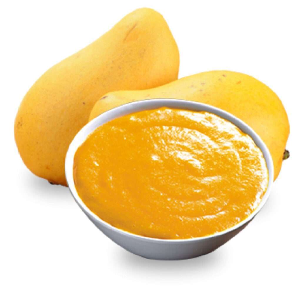 Totapuri mango pulp new crop